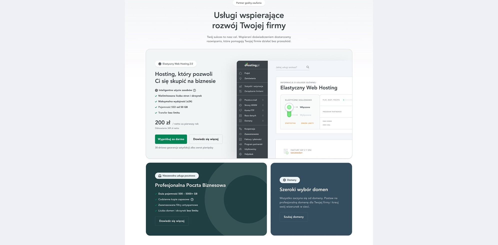 dhosting.pl supporting-services section presenting hosting, business email and domains as plain answers.