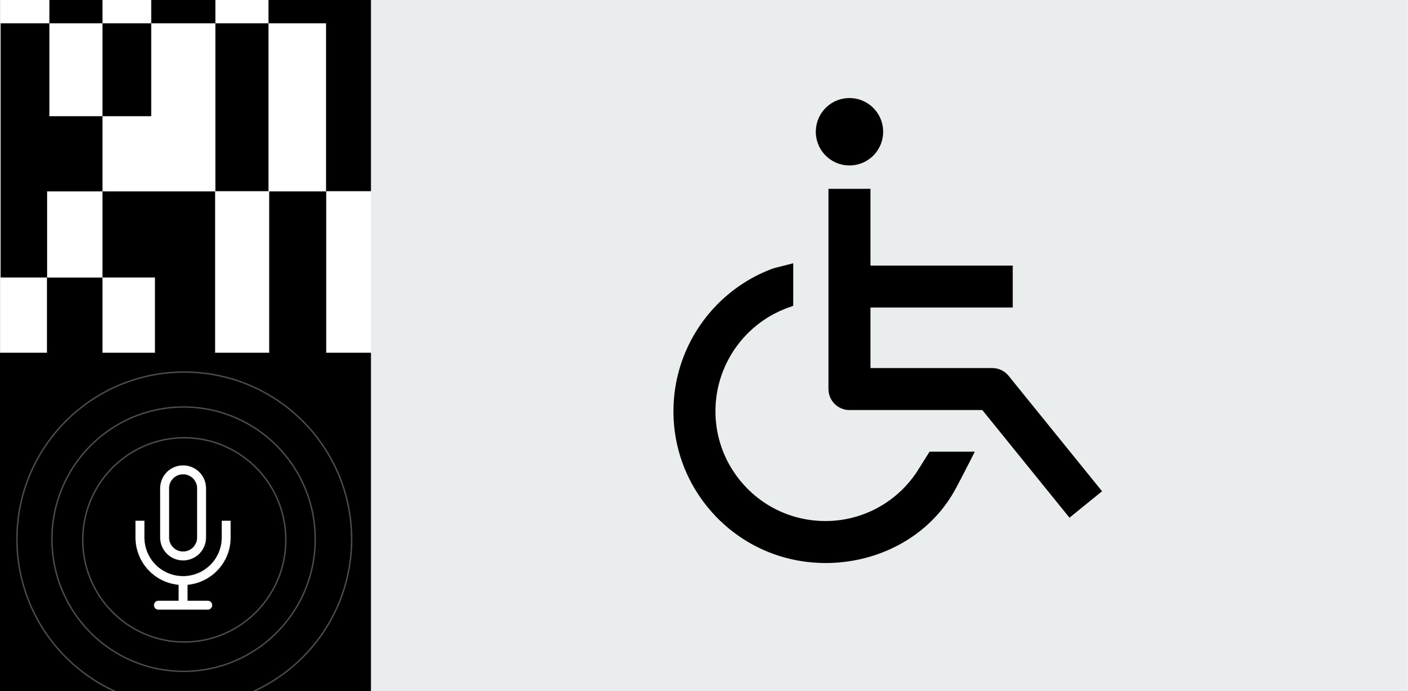 Voice-input microphone icon next to the international symbol of accessibility.