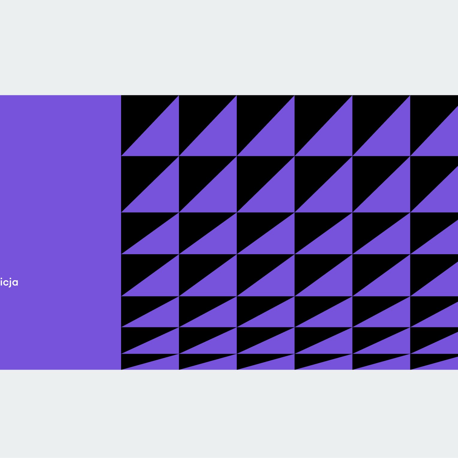 Chapter divider for the Animation section in bold violet and black.